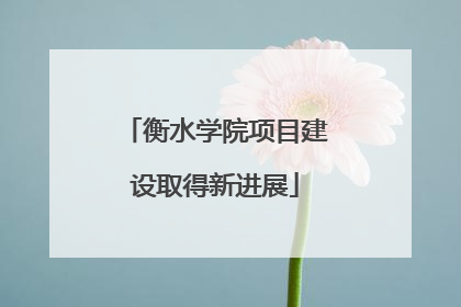 衡水学院项目建设取得新进展