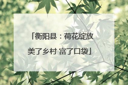 衡阳县：荷花绽放 美了乡村 富了口袋