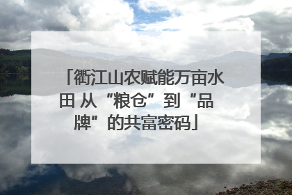 衢江山农赋能万亩水田 从“粮仓”到“品牌”的共富密码
