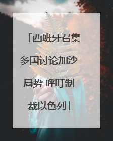 西班牙召集多国讨论加沙局势 呼吁制裁以色列