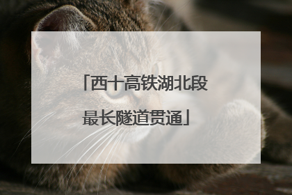 西十高铁湖北段最长隧道贯通