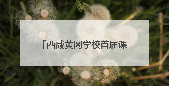 西咸黄冈学校首届课博会启幕 共探教育高质量发展新路径