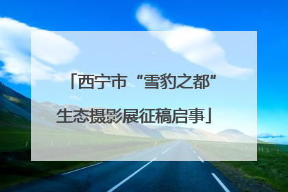 西宁市“雪豹之都”生态摄影展征稿启事