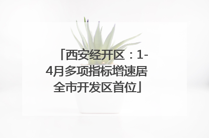 西安经开区：1-4月多项指标增速居全市开发区首位