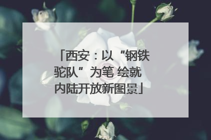 西安：以“钢铁驼队”为笔 绘就内陆开放新图景