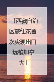 西藏自治区藏红花首次实现出口 远销加拿大