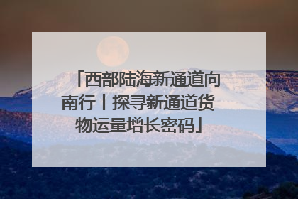 西部陆海新通道向南行丨探寻新通道货物运量增长密码