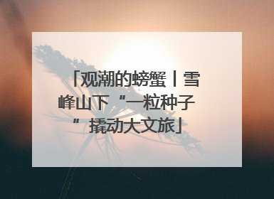 观潮的螃蟹丨雪峰山下“一粒种子”撬动大文旅