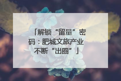 解锁“留量”密码：肥城文旅产业不断“出圈”