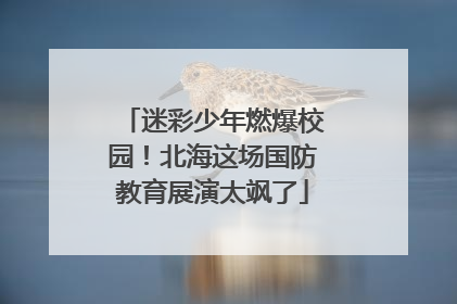 迷彩少年燃爆校园！北海这场国防教育展演太飒了