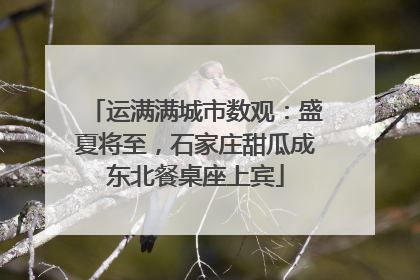 运满满城市数观：盛夏将至，石家庄甜瓜成东北餐桌座上宾