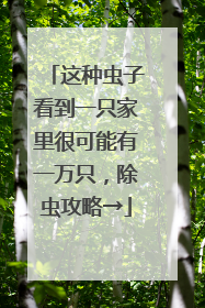 这种虫子看到一只家里很可能有一万只，除虫攻略→