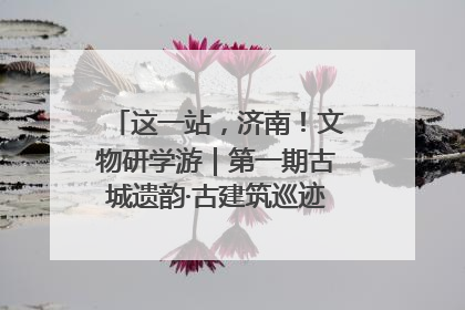 这一站，济南！文物研学游｜第一期古城遗韵·古建筑巡迹之旅圆满结束