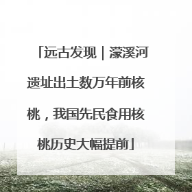 远古发现｜濛溪河遗址出土数万年前核桃，我国先民食用核桃历史大幅提前
