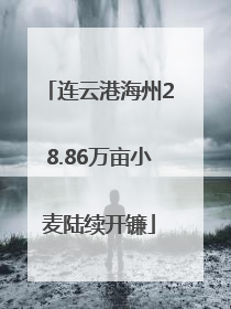 连云港海州28.86万亩小麦陆续开镰