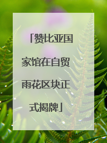 赞比亚国家馆在自贸雨花区块正式揭牌