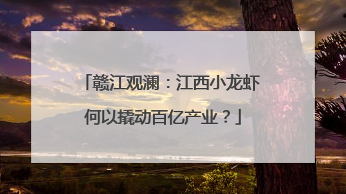 赣江观澜：江西小龙虾何以撬动百亿产业？