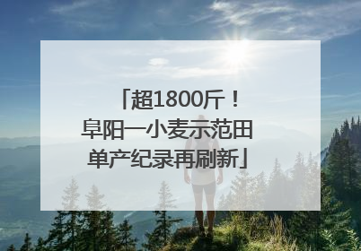 超1800斤！阜阳一小麦示范田单产纪录再刷新
