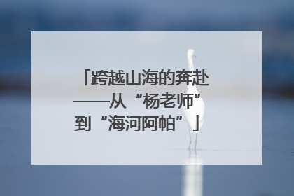跨越山海的奔赴——从“杨老师”到“海河阿帕”
