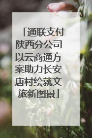 通联支付陕西分公司以云商通方案助力长安唐村绘就文旅新图景
