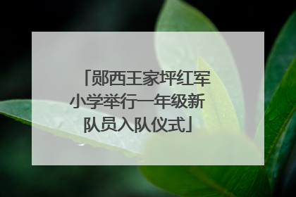 郧西王家坪红军小学举行一年级新队员入队仪式