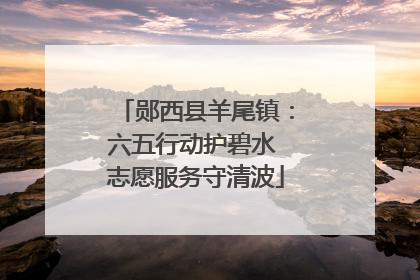 郧西县羊尾镇：六五行动护碧水 志愿服务守清波
