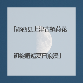 郧西县上津古镇荷花初绽邂逅夏日浪漫