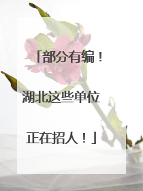 部分有编！湖北这些单位正在招人！