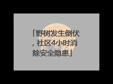 野树发生倒伏，社区4小时消除安全隐患