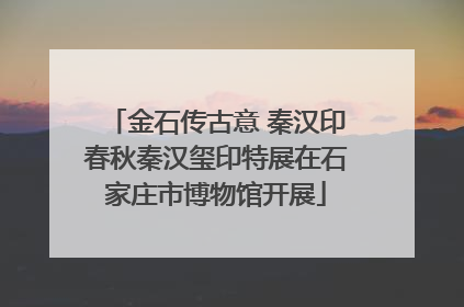 金石传古意 秦汉印春秋秦汉玺印特展在石家庄市博物馆开展