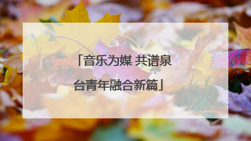 音乐为媒 共谱泉台青年融合新篇