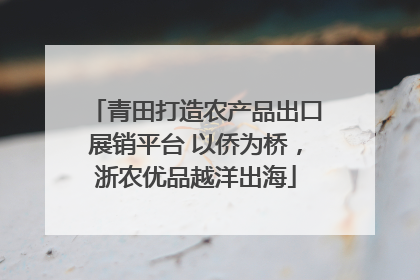 青田打造农产品出口展销平台 以侨为桥，浙农优品越洋出海