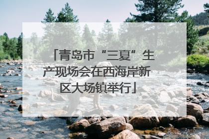 青岛市“三夏”生产现场会在西海岸新区大场镇举行