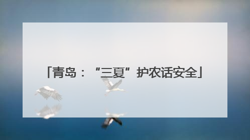 青岛：“三夏”护农话安全