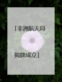 非洲航天局揭牌成立