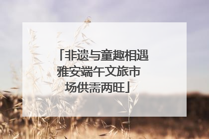 非遗与童趣相遇 雅安端午文旅市场供需两旺