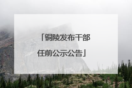 铜陵发布干部任前公示公告