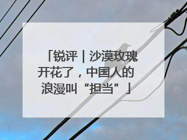 锐评｜沙漠玫瑰开花了，中国人的浪漫叫“担当”