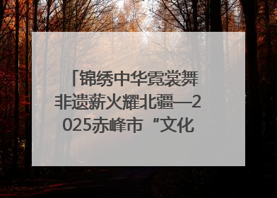 锦绣中华霓裳舞 非遗薪火耀北疆—2025赤峰市“文化和自然遗产日”非遗宣传展示活动纪实