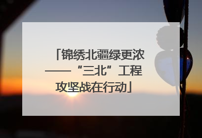 锦绣北疆绿更浓——“三北”工程攻坚战在行动
