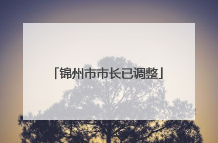 锦州市市长已调整