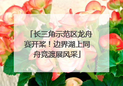 长三角示范区龙舟赛开桨！边界湖上同舟竞渡展风采