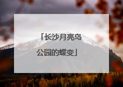 长沙月亮岛公园的蝶变