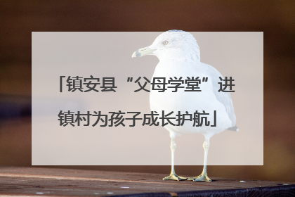 镇安县“父母学堂”进镇村为孩子成长护航