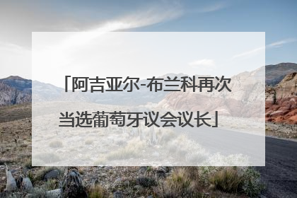 阿吉亚尔-布兰科再次当选葡萄牙议会议长