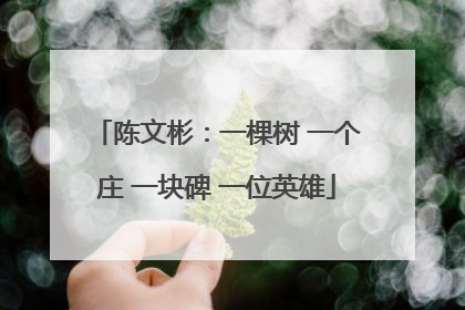 陈文彬：一棵树 一个庄 一块碑 一位英雄