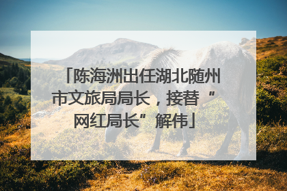 陈海洲出任湖北随州市文旅局局长，接替“网红局长”解伟