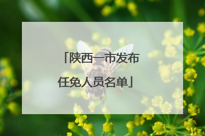 陕西一市发布任免人员名单