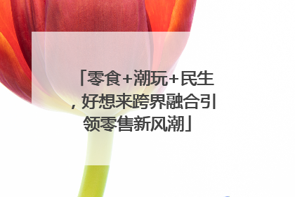 零食+潮玩+民生，好想来跨界融合引领零售新风潮