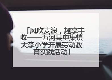 风吹麦浪，趣享丰收——五河县申集镇大李小学开展劳动教育实践活动